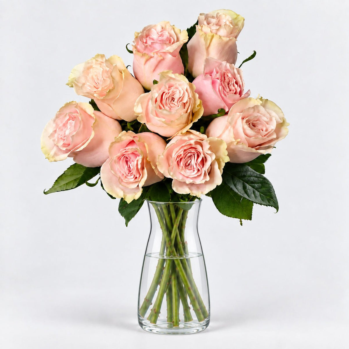 Rosas Rosa Premium - Persa Flores