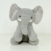 Selecciona tu peluche - Persa Flores