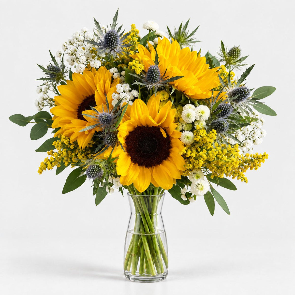 Sueño de Girasoles - Persa Flores