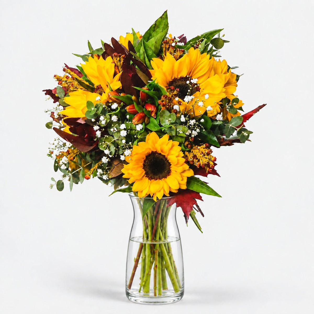 Sweet Dreams | Ramo de Girasoles - Persa Flores