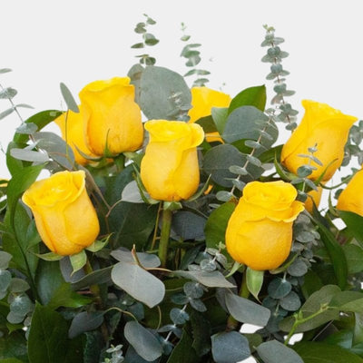 12 Rosas Amarillas - Persa Flores