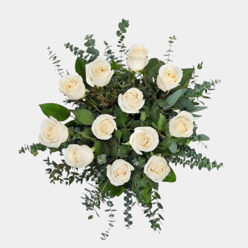 la elegancia de las rosas blancas