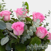 12 Rosas Rosas - Persa Flores