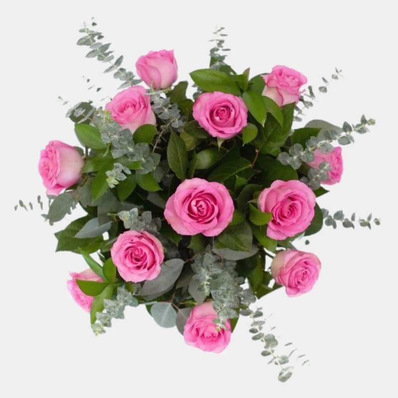12 Rosas Rosas - Persa Flores