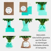 18 Rosas Rojas con Hojas - Persa Flores