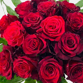 18 Rosas Rojas con Hojas - Persa Flores