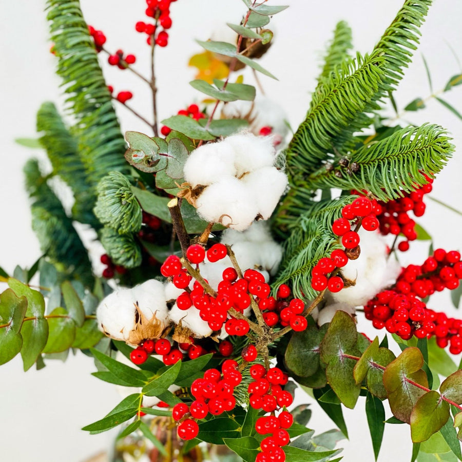 cuidar flores de navidad