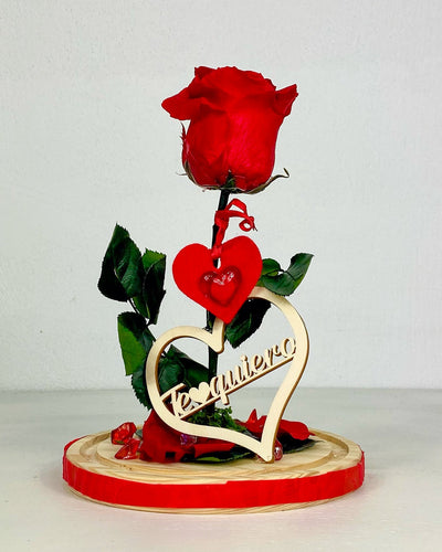 Cúpula de Rosa Eterna Roja - Te Quiero - Persa Flores