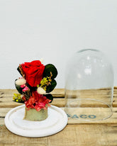 Cúpula Rosa Roja Preservada - Persa Flores
