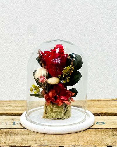 Cúpula Rosa Roja Preservada - Persa Flores