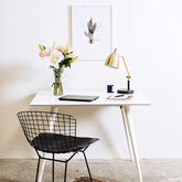 Lily & Rose on a desk