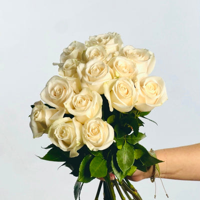 Ramo de Rosas Blancas Premium - Persa Flores