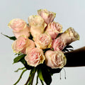 Ramo de Rosas Rosa Premium - Persa Flores