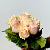 Ramo de Rosas Rosa Premium - Persa Flores
