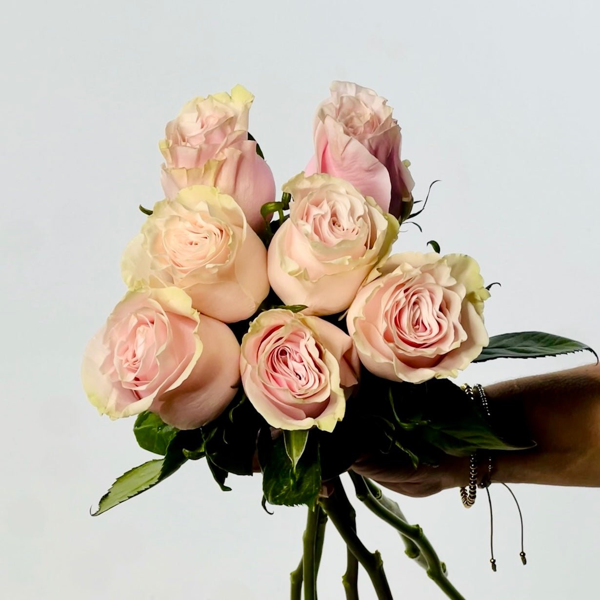 Ramo De 25 Rosas Naturales Color Rosa Claro - Elegante, Para Regalar, Confección Artesanal, Producto Fresco