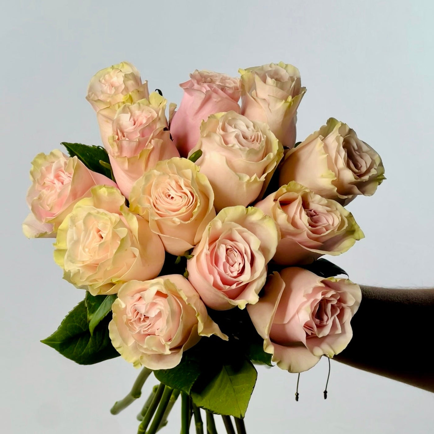 Roses 8 Roses Premium Pink Roses | Roses and Chocolates | Bouquet of Pink Roses ...