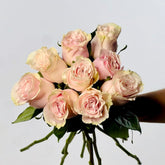 Ramo de Rosas Rosa Premium - Persa Flores