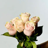 Ramo de Rosas Rosa Premium - Persa Flores