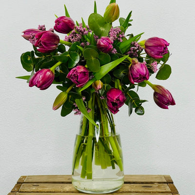 Ramo de Tulipanes Morados - Persa Flores