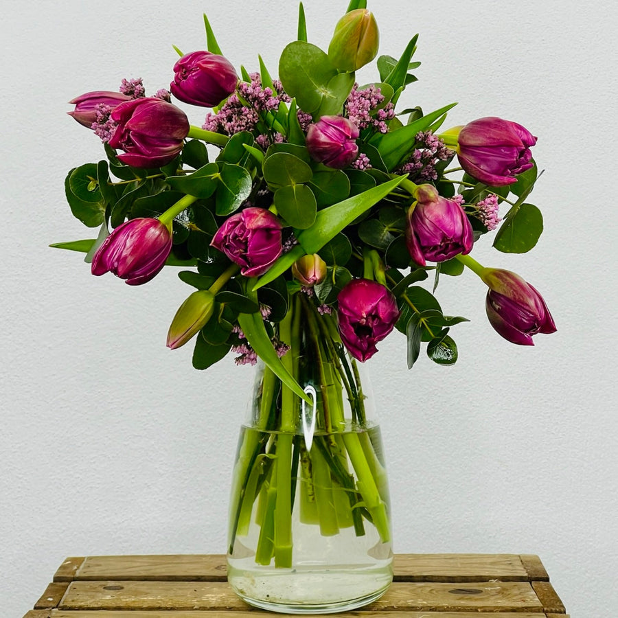 tulipanes morados