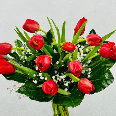 Ramo de Tulipanes Rojos - Persa Flores