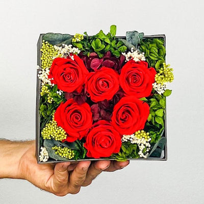 Red Roses Box - Persa Flores