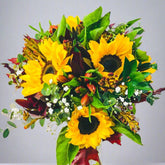 Sweet Dreams - Persa Flores