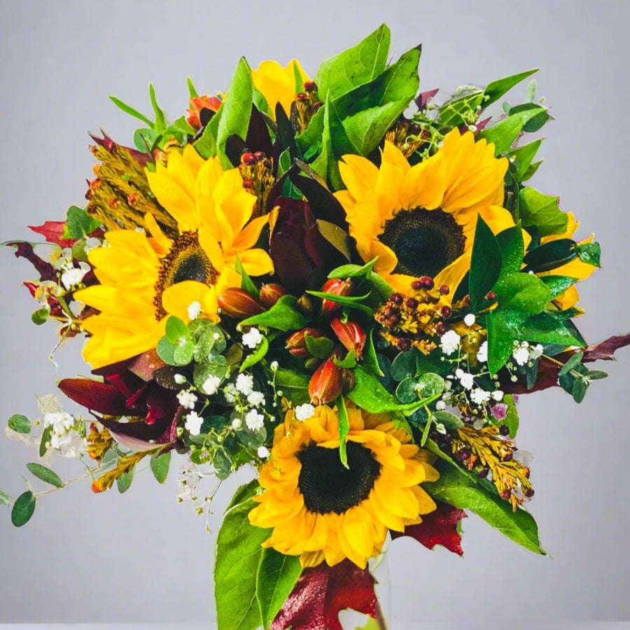 girasoles